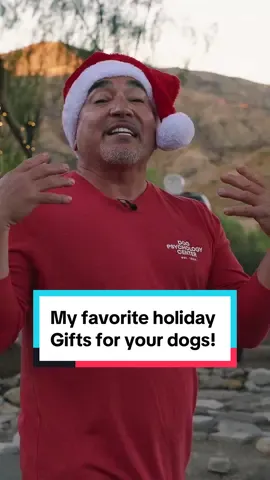 My favorite holiday gifts for your dogs! 🎅🎁🐕 It's the most beautiful time of the year, let's celebrate with our dogs and give them the best gifts that will better our natural, simple, and profound relationship. Full Video is on our YouTube! #christmas #gifts #dogs