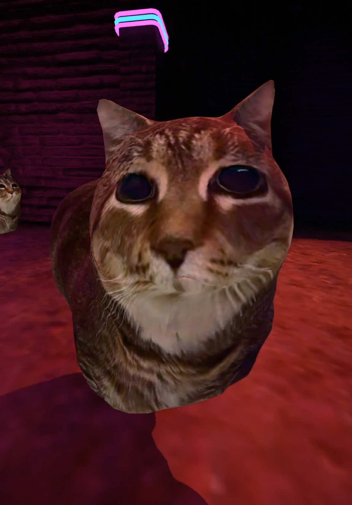 what the cat doin???  #spinningcat #spinningcattrend #brainrot #mysticmonday #mysticmethods #ravers #ravelifestyle #edm #bassmusic #3danimation #animators #anination #electronicmusic #meme