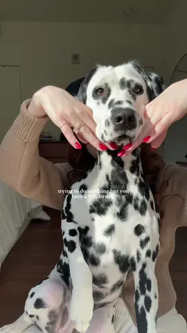 had her hit the influencer pose at the end #ivythedal 