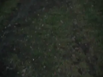 тгк:zxcmoly🕷️🕸️ link in bio #вайбтильта 