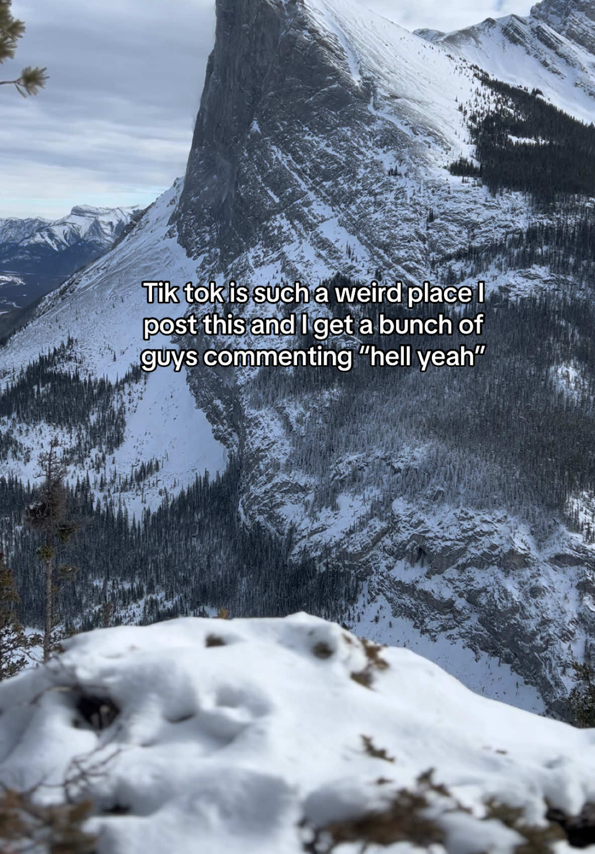 Hell yeah #fyp #steak #hellyeah 