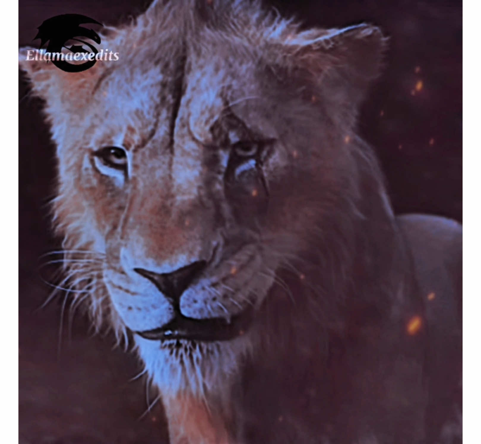 I feel so sorry for taka 😔😭😭 #lionking#lionking2#mufasa#taka#scar#lions#lionkingedit#mufasaandscar#mufasaandtaka#mufasathelionking#mufasathelionking2024#newmovie#clips#movietrailer#edit#scaredit#fyp#foryoupagе#videoviral#haveagooddayeveryone♡