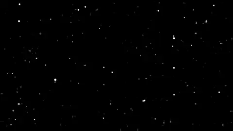 أصالة -  أمان أمان 😞 .         #fyp #sp4c #foryou #tiktok #explore #اغاني_مسرعه💥 #اصاله_نصري 