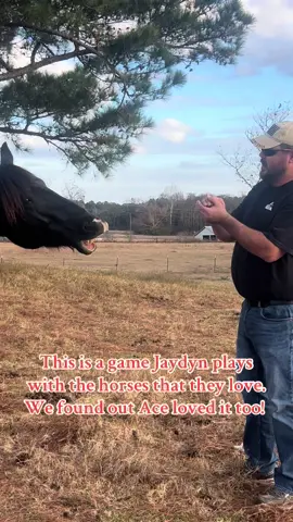 #deafcowgirl #deafhorsetrainer #fyp #horsetrainer #blmmustang #acetheonaqui #game 