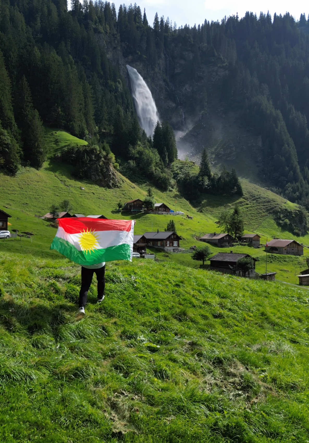 Kurdish flag day❤️‍🔥☀️💚#axnikoax #batifa #zaxo #duhok #kurdistan🇹🇯 