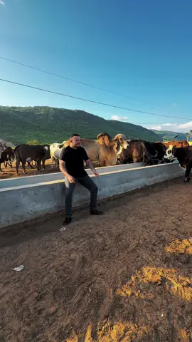 Tá pensando que e neve isso isso branco e gado 🌵🌵#JuniorVianna #Nordeste #reels #fy #nerole #nelorepintado #Anime 