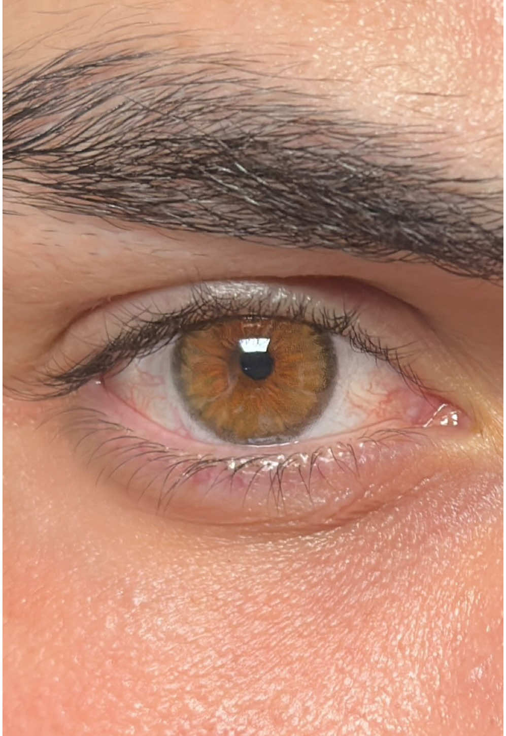 Cleopatra HAZEL da Urban Layer! Lentes na cor mel, com contorno suave e de pupila reduzida. É toda trabalhada em tons acastanhados e quentes. Lente translúcida e de boa cobertura, capaz de transformar até os mais escuros olhos. Campeã de procura na loja, é considerada por seus usuários uma das lentes mais naturais da atualidade.  ⠀⠀⠀⠀⠀⠀⠀⠀⠀ ⠀⠀⠀⠀⠀⠀ Durabilidade: Anual Código do modelo:  Cleopatra HAZEL Diâmetro: 14.2 mm  Acompanha estojo.  #lentes #lentesdecontato  #olhosclaros #lentesdecontatocoloridas #lentescoloridas #lentedecontato #urbanlayer #freshlady 