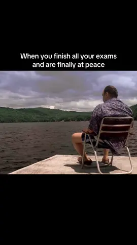 #meme #thesopranos #tonysoprano #tvshow #based 