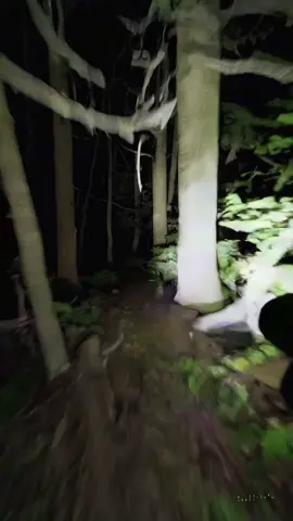 The first SORA video I made that doesn't really suck haha. I find SORA very bad at following instructions and knowing what a specific camera shot looks like. The prompt for this was: A first-person perspective of a wide-angle video of a person with a flashlight running and stumbling through a dark forest. It is late night and pitch black except where lit by the flashlight. The forest is dense with foliage and trees making it difficult to move through. There is no path and many obstructions of branches and bushes in the way. It was made with no style, 9:16, 720p, 5s, 1v, and then I made it into a loop total cost of 80 credits. #SORA #ai #aivideo