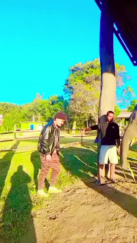 #suklaphata #withelephant #ypfッ #foryoupage 