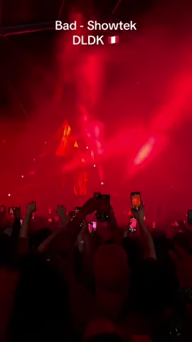 😮‍💨Momento en donde fui feliz #bad #showtek #dontletdaddyknow #peru #fyp@Vastion @showtek 