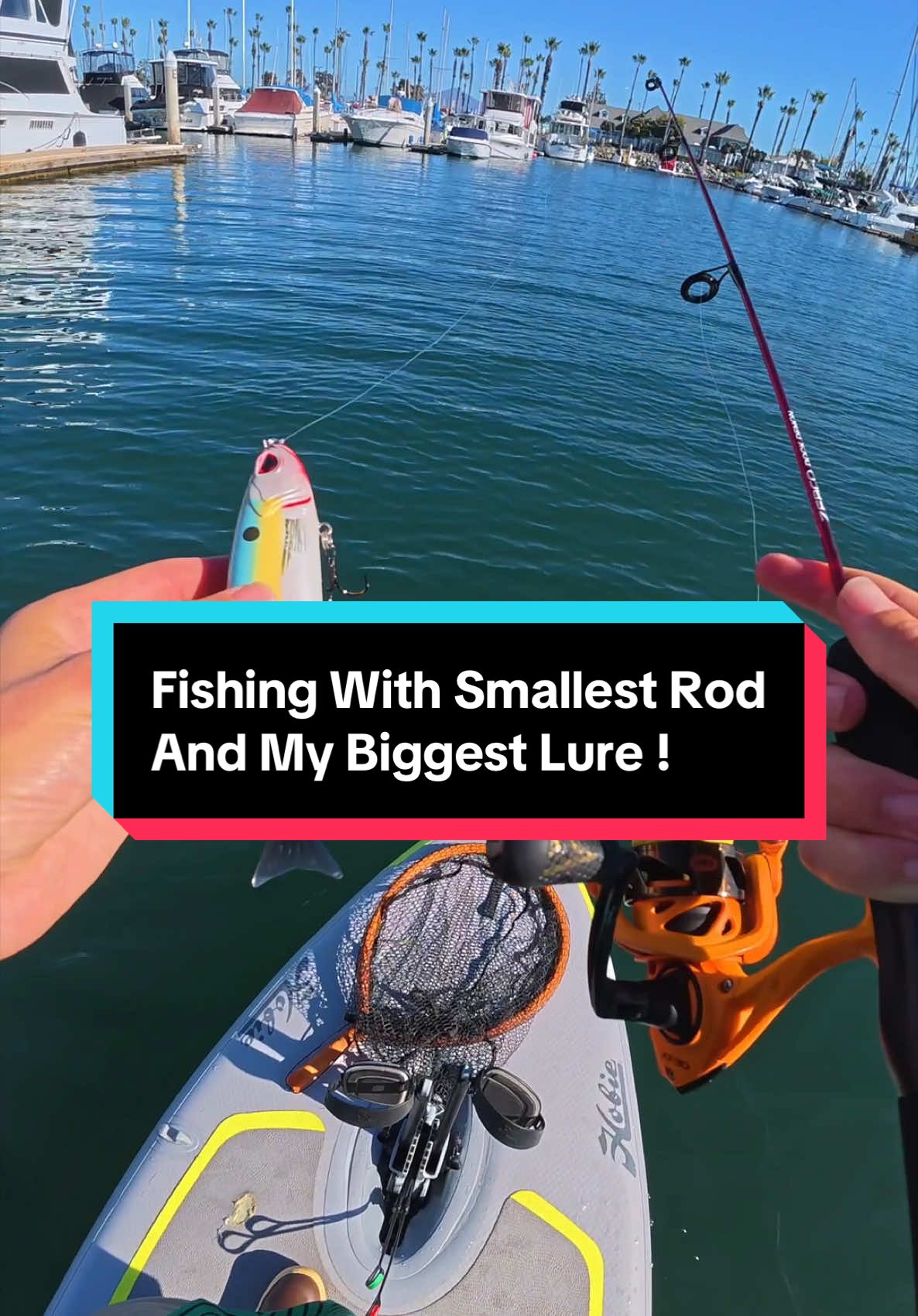 Replying to @I.W.K.M.S Fishing with my smallest rod and my biggest lure! #fishing #fyp #fishtok #angler #fypシ #fishingvideo #fypviral #fish #glidebait #bassfishing #fishingtiktoks #saltwaterfishing 