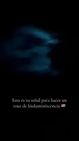 Paquera, Puntarenas, Costa Rica 🇨🇷 Tour de Bioluminiscencia escribeme para más info ✨ #paquera #bioluminescence #costarica 