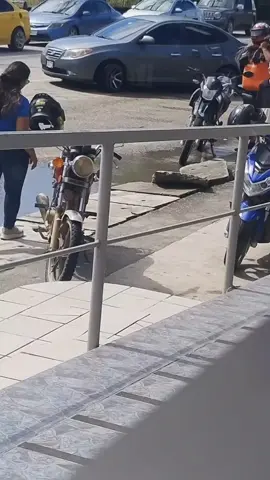 Lo Encontré Bro @El Morris 🔥 