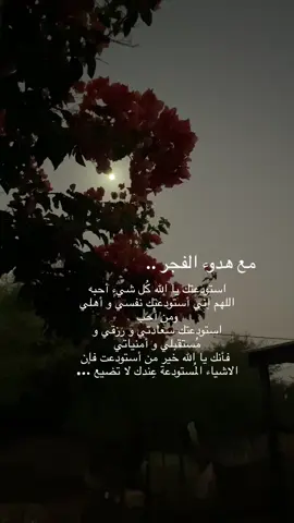 واجعل في صُدرونا  ‏سكينة تشبه  ‏نسمات الفجر#يارب🤲 