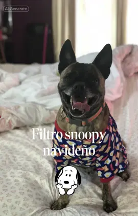 #filtroia #feliznavidad #filtrosnoopy 