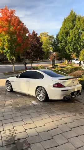 No filter needed 🤍 #bmw #fyp #tiktokfyp #tiktokfypage #bmwtiktok #bmwm #chicago #tiktokcars #tiktok #tiktoker #m6 #e63m6 #e63 #s85 #v10 #bmwm6 #m5 #cars 