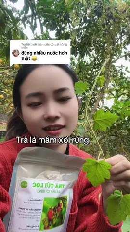 Trả lời @cô gái nông thôn #caymamxoirung #câymâmxôirừng #lamamxoi #xuhuong #tratuilocmamxoirung 
