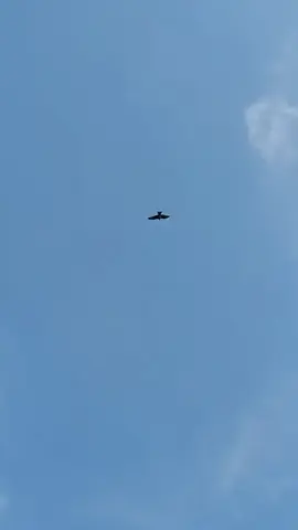 নির্বাক নিবৃত্ত, নিস্তব্ধতায় নির্বাসন...!!