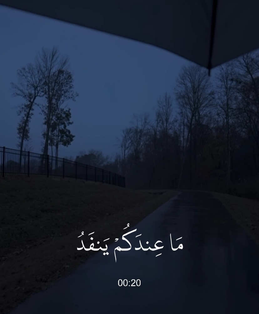 النحل - #عبدالرحمن_مسعد 