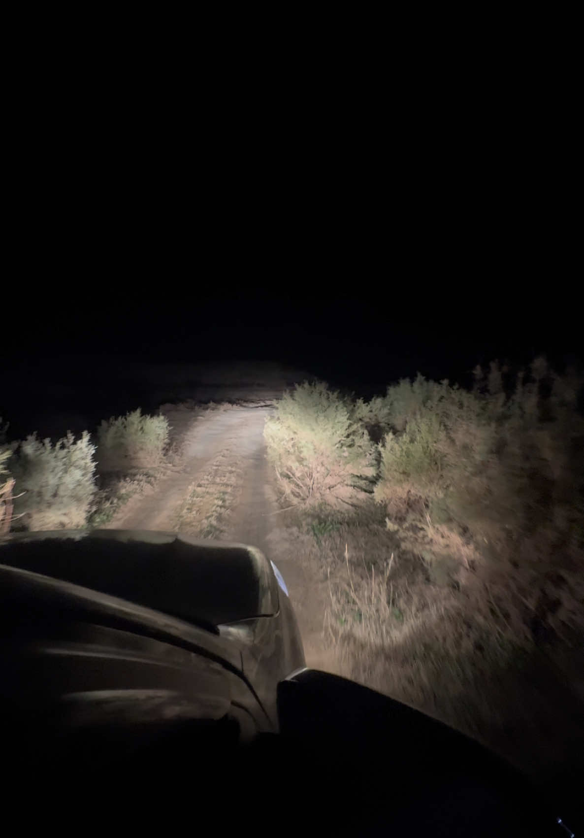 #المحزم🤍 @﮼علي     🦅  #الانبار_قضاء_حديثه #بحيرة_سد_حديثه #طير_الحر #شاهين #مشاهير_تيك_توك_مشاهير_العرب #اكسبلور_تيك_توك #الجغافيه_اجرة_حمد 