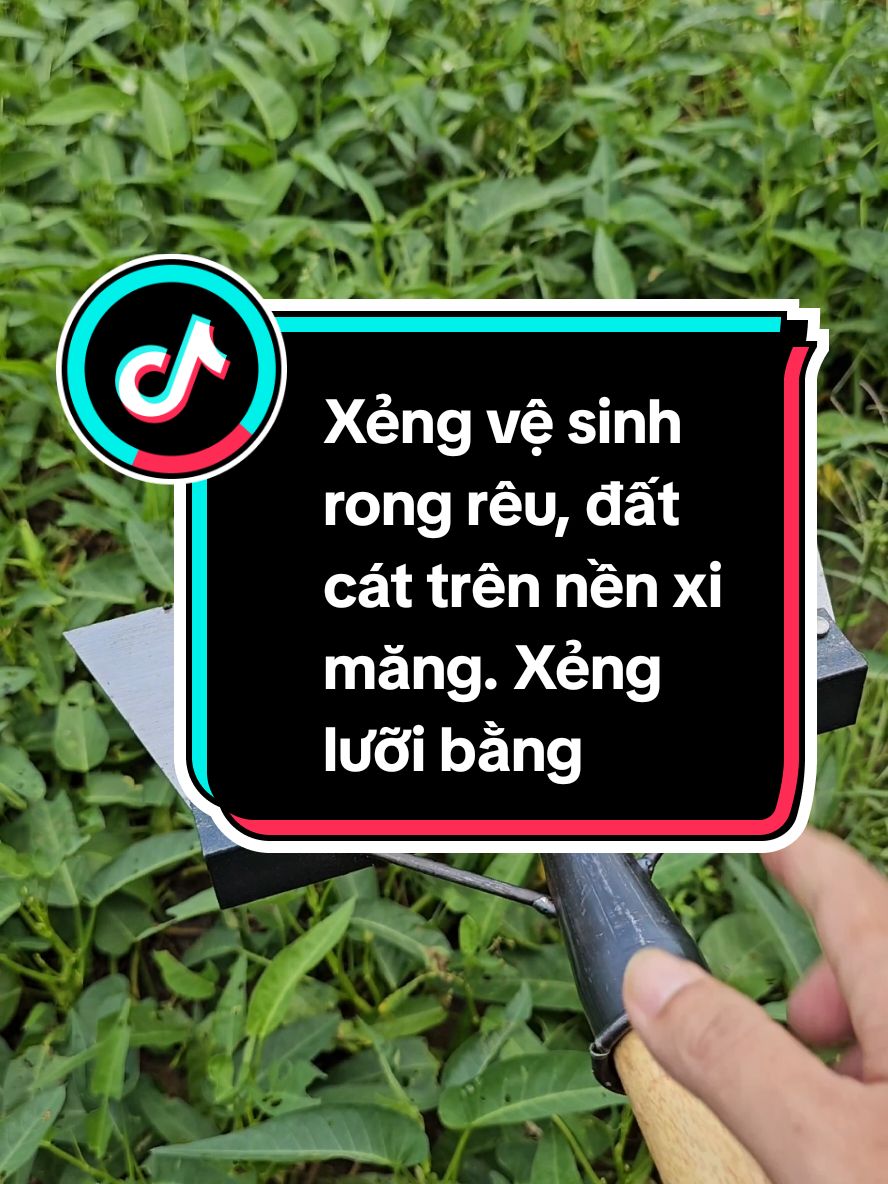 Xẻng lưỡi bằng, xẻng hốt đất cát dọn dẹp sân vườn tiện lợi, xẻng phẳng.  #xengvesinhdanang #xengvesinh #xengphang #xengluoibang 