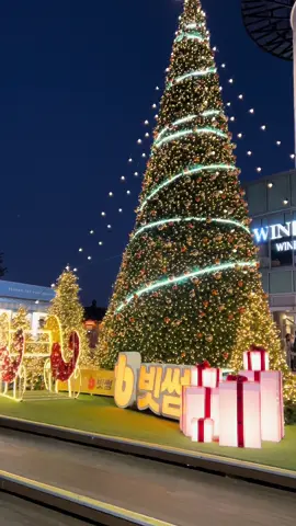 The beauty of december🎄💌#crismis#kbeauty#nseoultower🇰🇷 