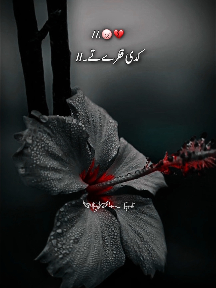 ve sanu rog lon waliya 🥹💔 //Repost Request//  .#songs #lyricsvideo #hdrediting #foryou #foryoupage #fyp #viral #vedio #tiktok #unfreezemyacount #1mviews #ahsan_typist74 
