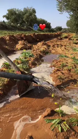 #fyp #vairal #bouhjla_القيروان🧿🥰❤️ #tounsia🇹🇳 #ايكسبلور_eaxplor❤️ #