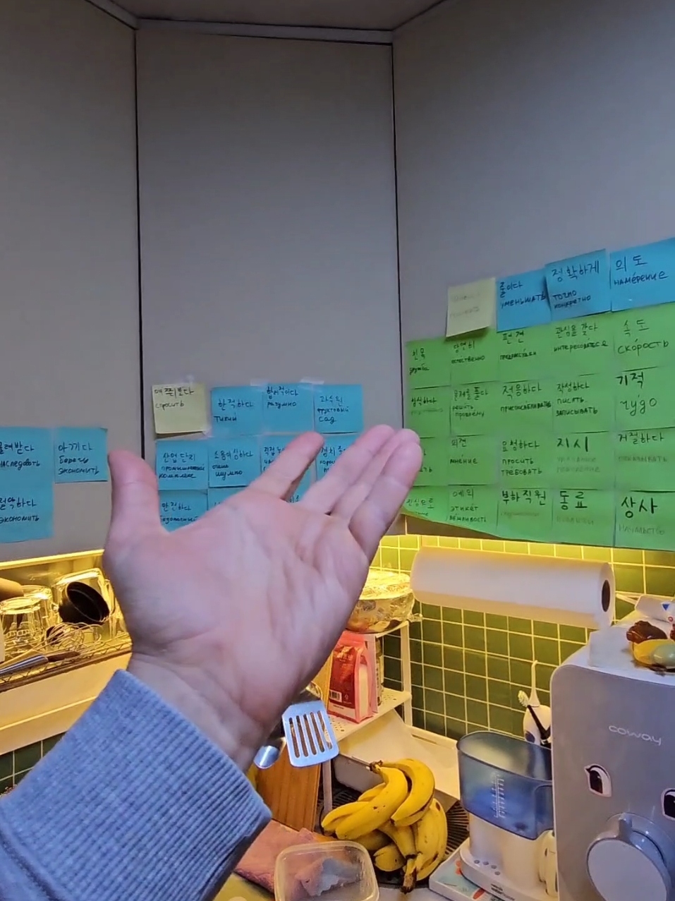 Ответ пользователю @zelad_3d @Кён Ми @SashaKorea #кореянка #кёнми #корея #сашакорея #корейскийязык 