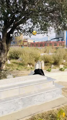 #missyou #mom 🥹🥹😞 #pashtopoetry #yourpage 