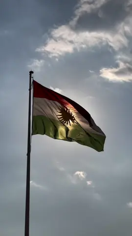 بەرزووپیرۆزبێ رۆژی ئالاتات❤️💚💛🤍