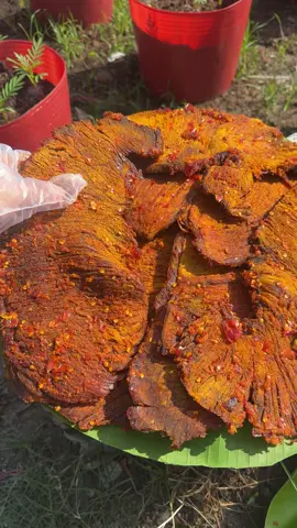 Khô bò miếng lớn hủ 500gr #thanhtrucfood #khobomieng #tiktokxuhuong #tiktokthinhhanh #tiepthilienket 