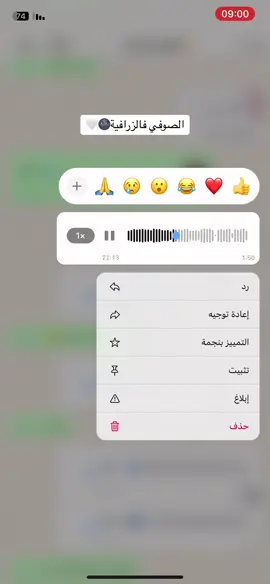 الصوفي اگناديز #مدينتي #الصوفي #الشعب_الصيني_ماله_حل😂😂 
