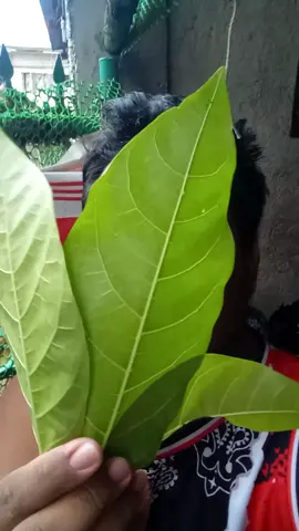 Matampuhin ka daw 