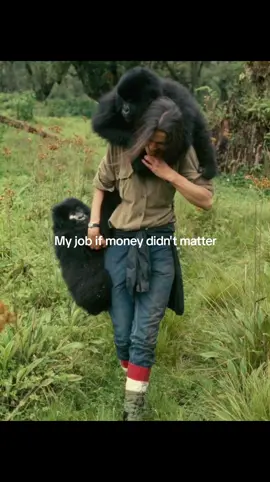 🦋🫀❤️‍🩹🐎🐕🐈🐂🐐🐖🦓🦬🦌🦒 #mydreamjob💞 #iwishitsreal #godisgood #lifeisgooddance #fyp #rescueanimals #zookeeper #farmlife 