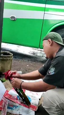 Orang miskin dilarang sakit . . . Well !!! #bismalamcepat #matadorAR33 #karuniabakti_lover #mayasaribaktigroup #basuridavmusicalairhorn #fypシ゚viral #fyppppppppppppppppppppppp 
