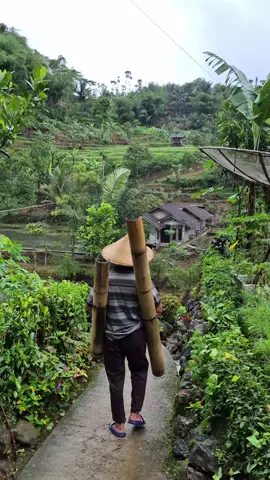 suasana sore hari di rumah viral pinggir sungai  📍kp.kencih desa cipelah 