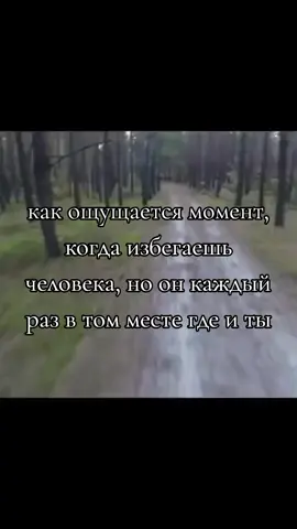 #момент #человек #медведь 