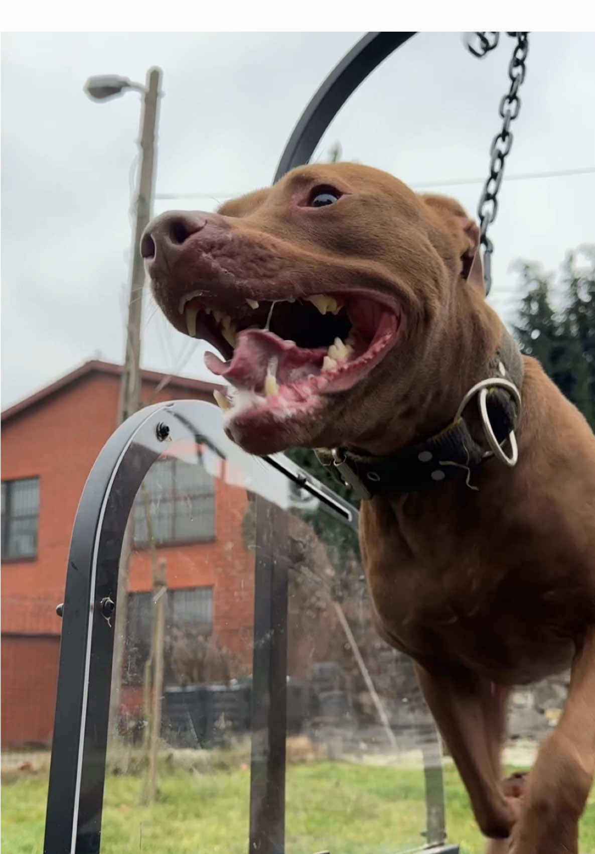 FHK ZOJA ⚡️ Zoja knows that the best way to get back into shape after pregnancy is on a treadmill 🔝 Order your treadmill at www.ronzeil.com and use our code 