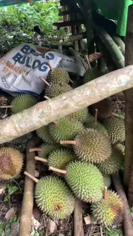 #apatuu#masukberanda #fyppp 