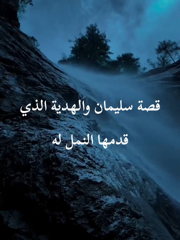 قصة سليمان والهدية الذي قدمها النمل له  #قصص_دينية❤🌸 #قصة_حقيقية #راحة_نفسية #fyp 