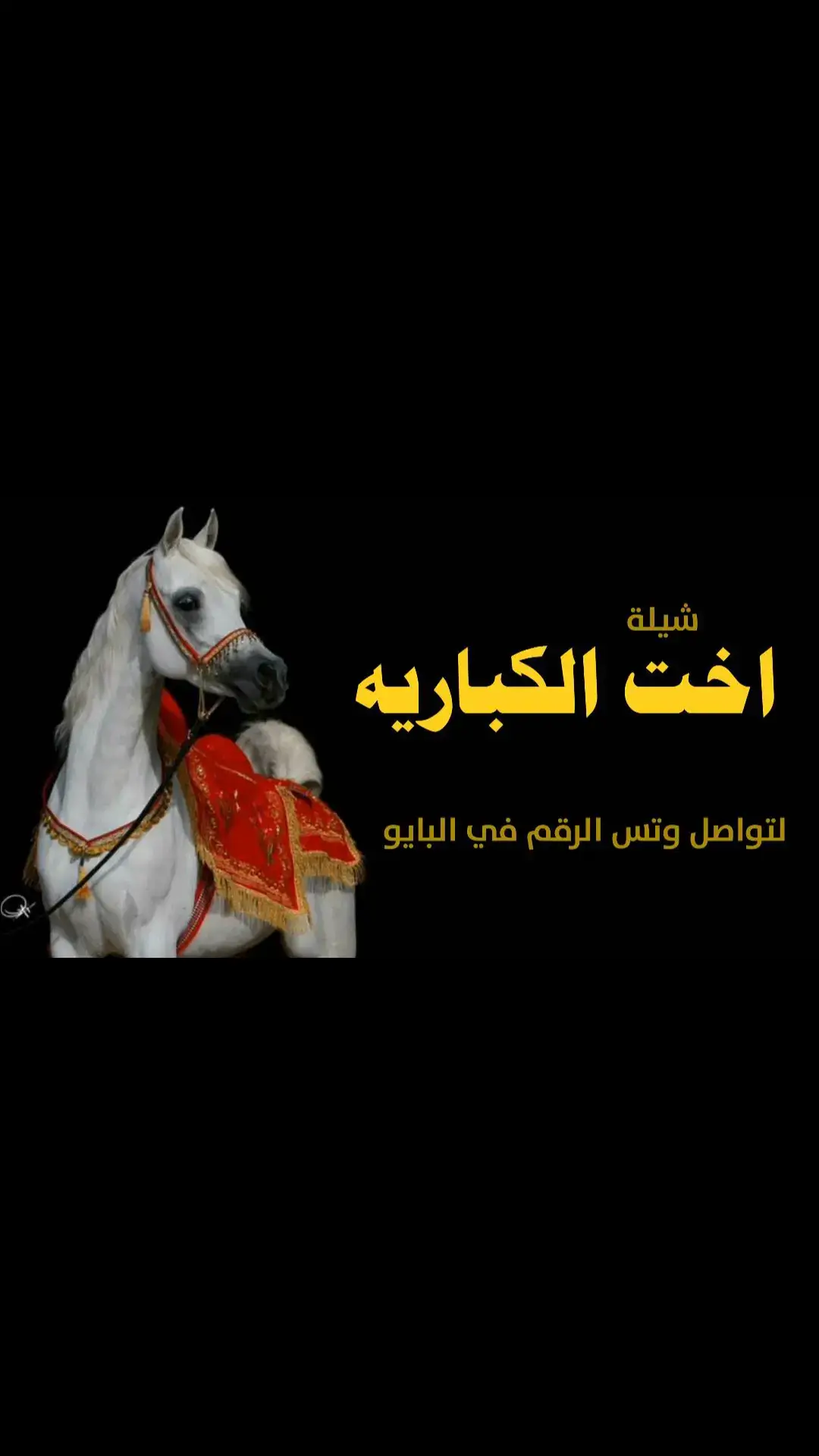 #شيلة_مدح #اخت_الكباريه #شيلات_مدح #بنات #شيلات_فخمة❤️ #شيلة_حماسيه #شيلات_زواج #عروس #اكسبلور #طلب_شيلات_بالاسم 