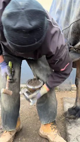 sharp frog trim! #farrier #horse #samdracottfarrier #asmr 