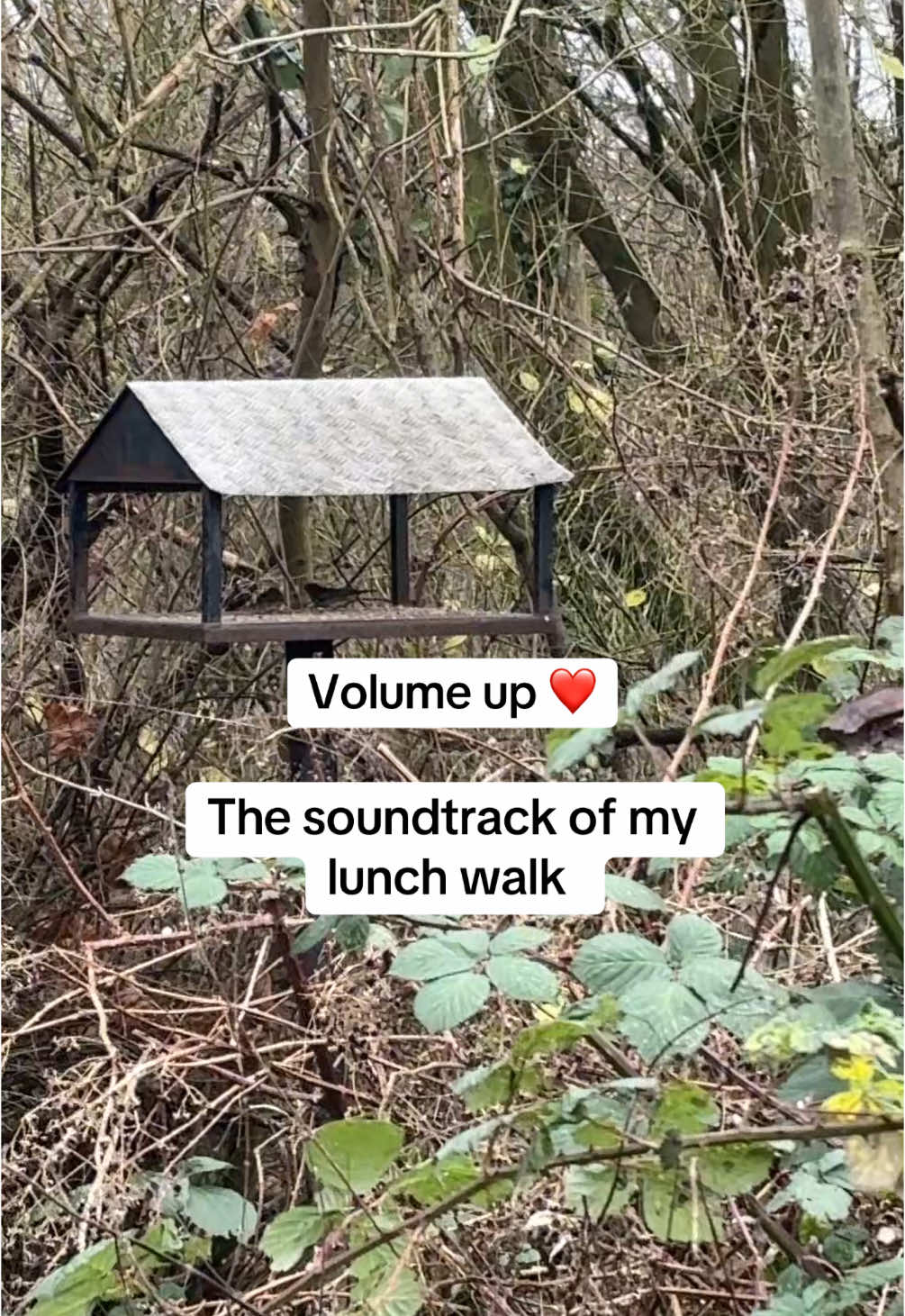 Finding joy in the little things ❤️ #peace #joy #SelfCare #naturevibes #nature #walk #hike #Outdoors #relax #calm #calming 