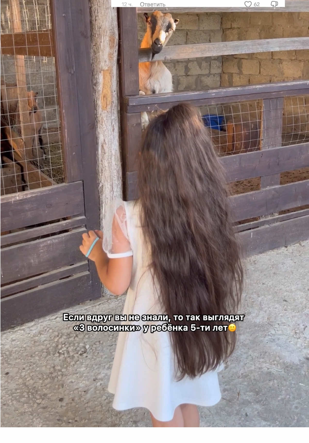 В комментариях под прошлым роликом собралось «общество», не знаю как по другому назвать (в основном из девочек, что очень удивляет), которое не знает, что когда волосы мокрые, то они у всех «редкие» и это на значит, что это «3 волосинки» и их надо стричь, чтоб выросли волосы быстрее и лучше😄Если вдруг кто не знает, то скажу, что стрижка никак не влияет на рост и качество волос) на это влияют гены и ваш уход за волосами🤗Конкретно я с дочерью подстригаю кончики просто, чтоб немного укоротить длину, сделать ровный срез и убрать сечение, если оно есть, но точно не для того, чтобы они росли быстрее)) Волосы растут с корней, а не с концов. Как одно может влиять на другое?) Так же мне утверждают, что волосы в не хорошем состоянии и видно сечение через камеру 😂 ( за «сечение», я так понимаю, приняли мокрые концы с парочкой высохших, которые смотрят в разные стороны, потому что волос много на голове, сверху они из-за мокрого состояния «слипавшиеся», а снизу чуть подсохли и разъединились, получилась как такая 20д вилочка) Так вот, я заявляю, что я живу со своим ребенком вместе, непрерывно все её 7 лет и очень хорошо ухаживаю за её волосами и вижу их тоже хорошо, заявлять мне о состоянии ее волос от людей, которые ни разу её в жизни не видели и утверждать, доказывая мне что-то об этом-очень странно 🤣 У Марьям никогда не было секущихся концов! Потому что у нее есть мама, которая знает как с этим бороться и предотвращать, да и в целом её волосы всегда в хорошем состоянии, исключения бывают только если нет времени на уход, просто быстро моем волосы и все) и то это они просто визуально выглядят не очень, на качество самого волоска это не очень влияет)) P.S. Кому такие 3 волосинки?