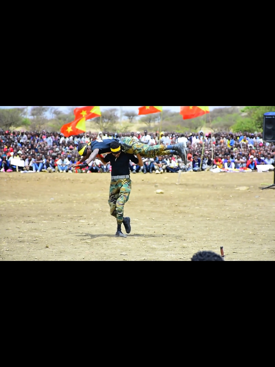 #creatorsearchinsights #TDFኮማንዶ #tigraytiktok🇻🇳🇻🇳tigraytiktok  #ethiopian_tik_tok🇪🇹🇪🇹🇪🇹🇪🇹 