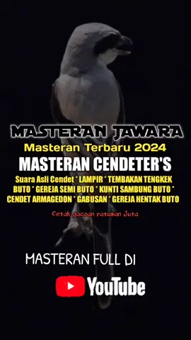 Buat cendet berat memori #masteranjawara #masteranburung #cendet 
