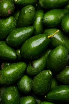 What's this? 🥑🤔 #magichourai #madewithmagichour #magichourillusions #ai #aivideo #trending #viraltiktok #edit #aigenerated #fun #animals #fruit #transformation 