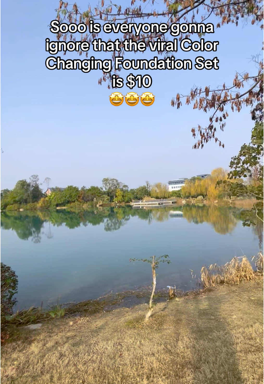 I have a flawless makeup base